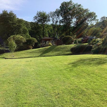 Ty Twt - Complete Holiday Home Llandysul Eksteriør bilde