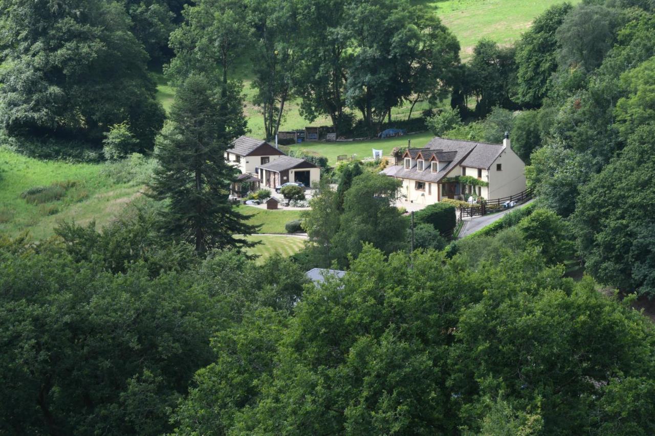 Ty Twt - Complete Holiday Home Llandysul Eksteriør bilde