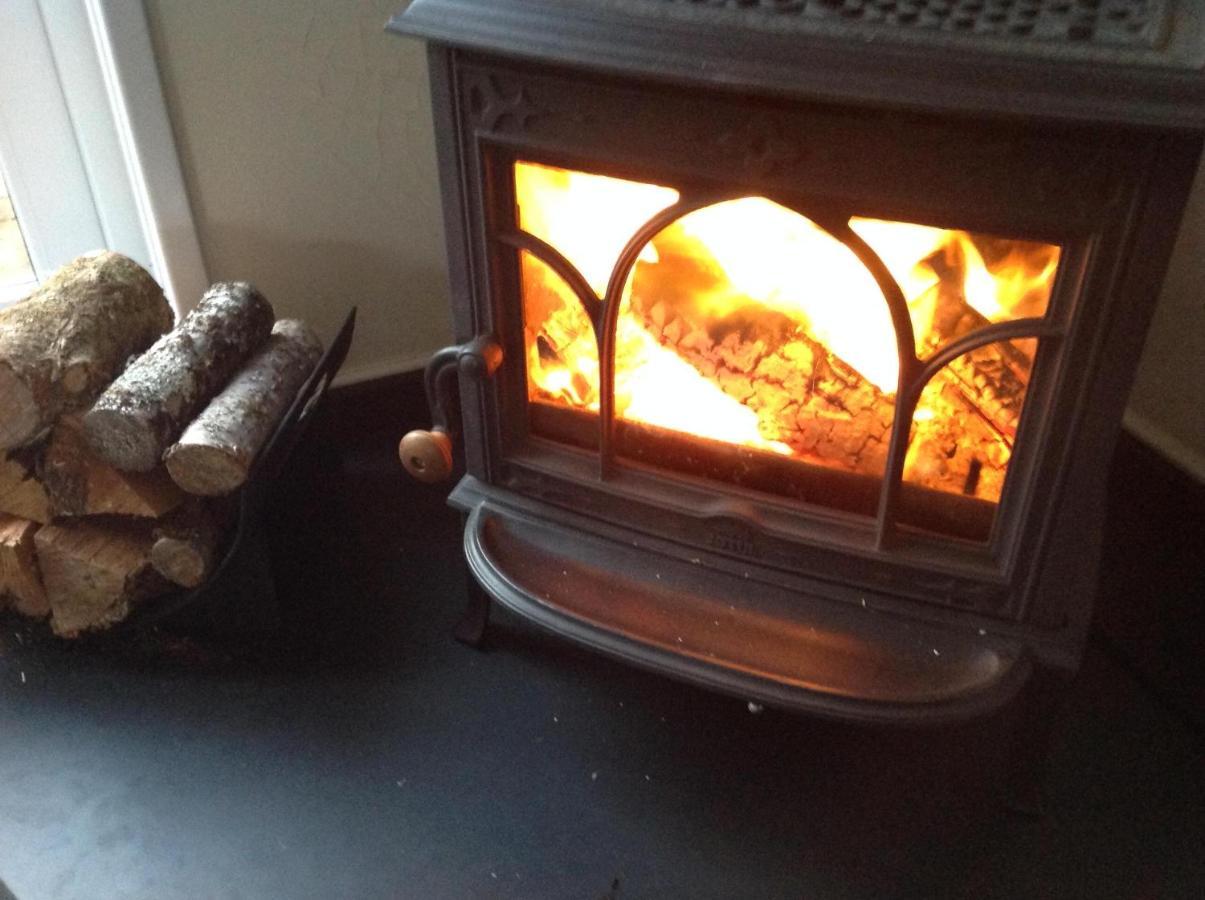 Ty Twt - Complete Holiday Home Llandysul Eksteriør bilde